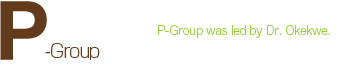 P-Group was led by Dr. Okekwe.