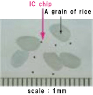 IC chip