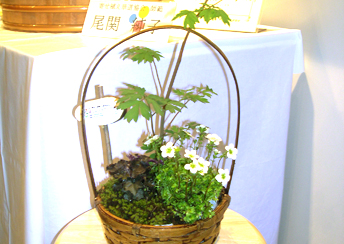 岐阜県が、寄せ植え体験の機会を提供の画像2