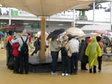 雨の愛・地球博で傘の花の画像