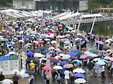 雨の日でも大にぎわいの画像