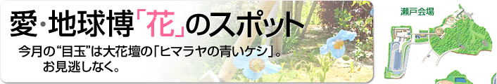 愛・地球博「花」のスポット