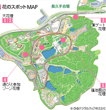 花のスポットの地図の画像
