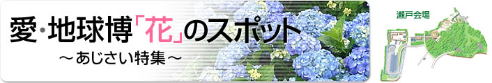 愛・地球博「花」のスポット