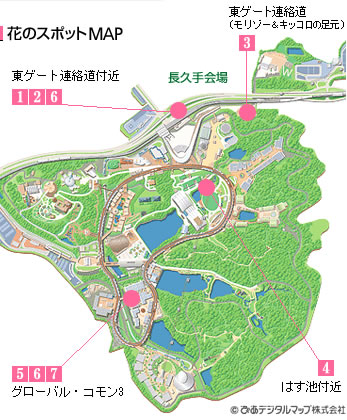 花のスポットの地図の画像