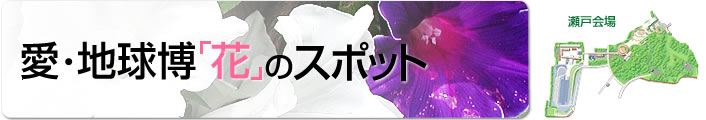 愛・地球博「花」のスポット