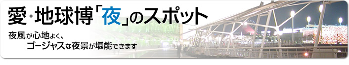 愛・地球博「夜」のスポット