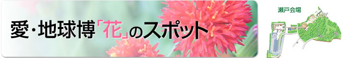 愛・地球博「花」のスポット