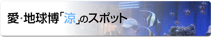 愛・地球博「涼」のスポット