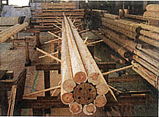 間伐材を組み合わせた「束ね柱」