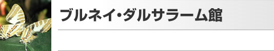 ブルネイ・ダルサラーム館