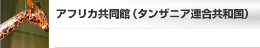 アフリカ共同館（タンザニア連合共和国）