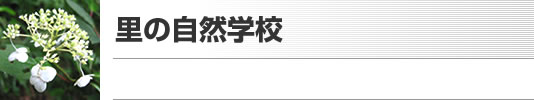 里の自然学校