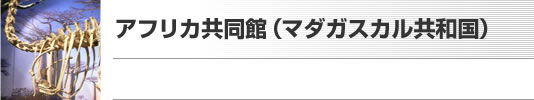 アフリカ共同館（マダガスカル共和国）