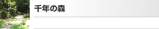 千年の森