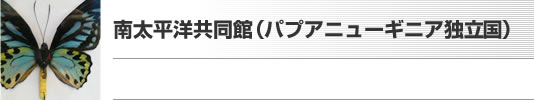 南太平洋共同館（パプアニューギニア独立国）