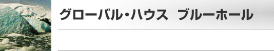 グローバル・ハウス　ブルーホール