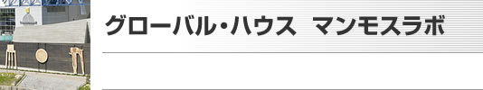 グローバル・ハウス　マンモスラボ