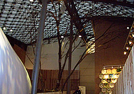 瀬戸愛知県館のコナラの木の画像