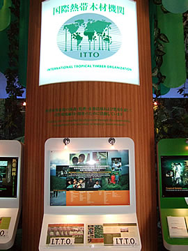 国際熱帯木材機関館(長久手会場　グローバル・コモン２)の画像