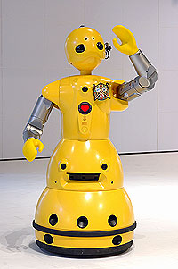 ロボットステーションで会うことができる 接客ロボット「WAKAMARU」の画像