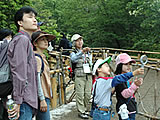 森の自然学校のツアーの画像