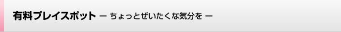 有料プレイスポット―ちょっとぜいたくな気分を―