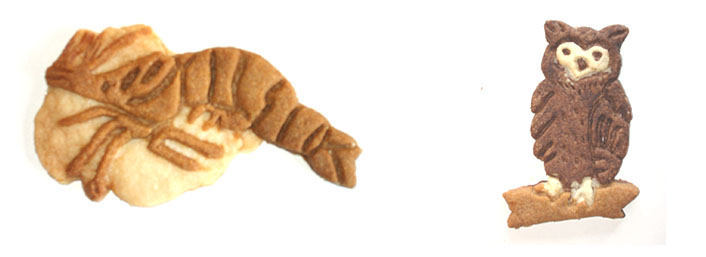 （左）愛知の魚：クルマエビ、（右）愛知の鳥：コノハズク