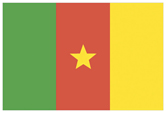 カメルーン共和国国旗