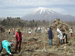 （１）富士山麓植樹体験会