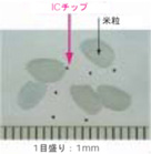 ICチップのサイズ2