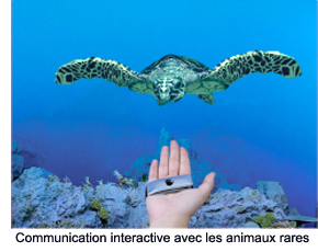 Interactive communication with rare animals