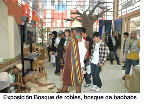 Acorn Forest, Baobab Forest exhibit