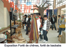 Acorn Forest, Baobab Forest exhibit