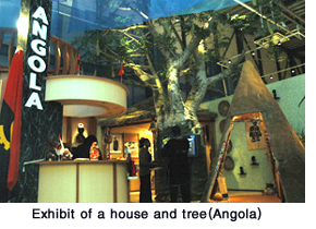 Exhibit of a house and tree (Angola)