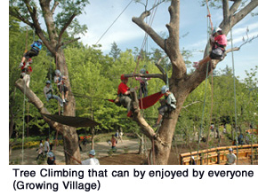 Tree Climbing that can by enjoyed by everyone
(Growing Village)