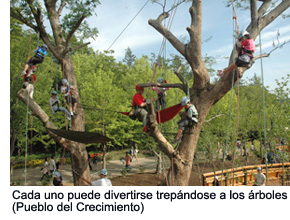 Tree Climbing that can by enjoyed by everyone
(Growing Village)