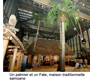 A palm tree and a Fale, a traditional Samoan home