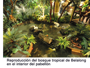 A recreation of the Belalong Rainforest within the pavilion