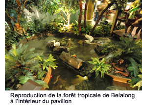 A recreation of the Belalong Rainforest within the pavilion