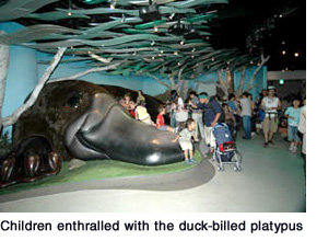 Children enthralled with the duck-billed platypus