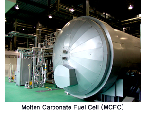 Molten Carbonate Fuel Cell (MCFC)