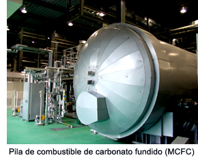 Molten Carbonate Fuel Cell (MCFC)