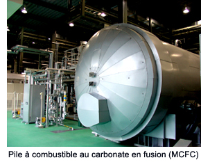 Molten Carbonate Fuel Cell (MCFC)