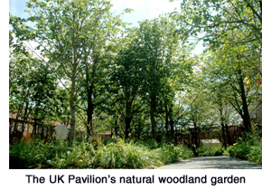 The UK Pavilion’s natural woodland garden