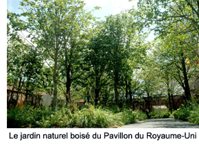 The UK Pavilion’s natural woodland garden